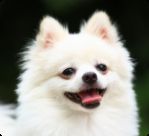 test12